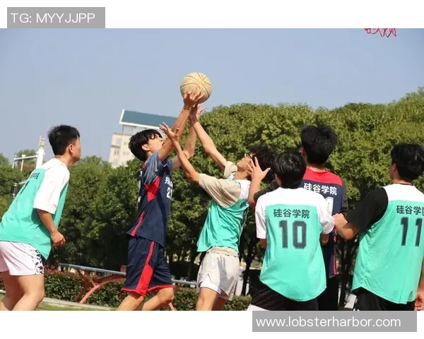 篮球点燃青春激情展现团队力量谱写运动精神新篇章