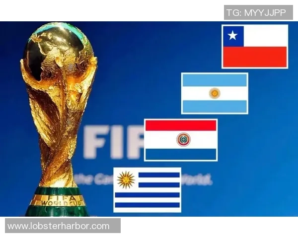 世界杯经济账主办国是赚了还是赔了背后的真相与启示